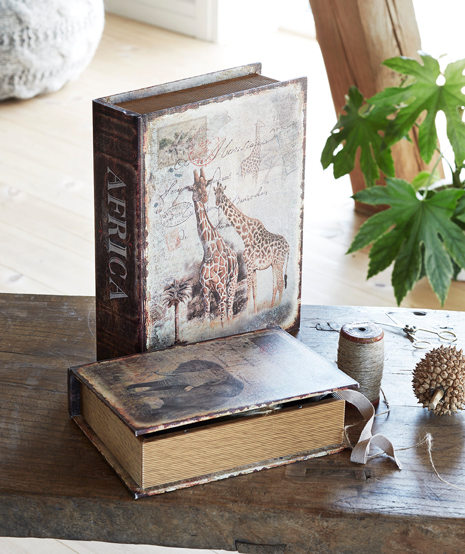 Book Africa hoiukastid 2 tk