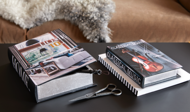 Kodu ja viiuliraamat